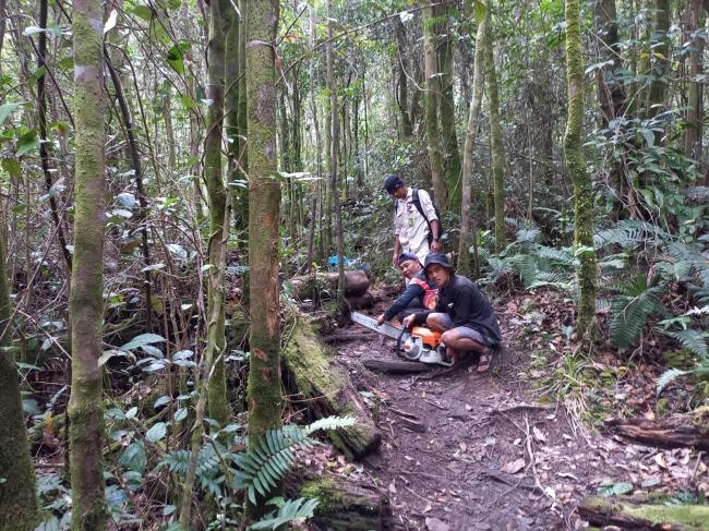 TRC BPBD KAB.SOLOK MELAKUKAN PEMBERSIHAN RUTE PENDAKIAN GUNUNG TALANG