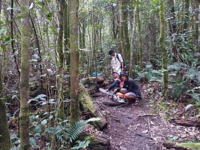 TRC BPBD KAB.SOLOK MELAKUKAN PEMBERSIHAN RUTE PENDAKIAN GUNUNG TALANG